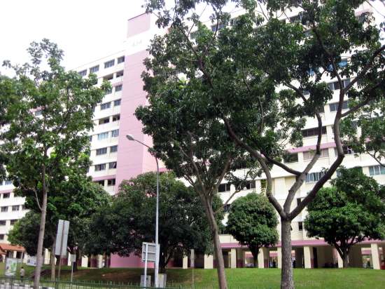 Blk 434 Hougang Avenue 8 (Hougang), HDB 4 Rooms #247872
